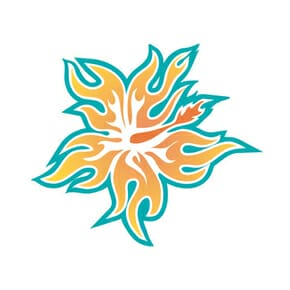 The Holiday Researcher